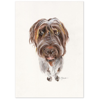 Wirehaired Pointer Watercolor Print