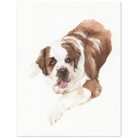 Saint Bernard Pet Watercolor Print