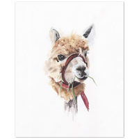 Alpaca Watercolor Print