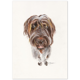 Wirehaired Pointer Watercolor Print