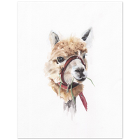 Alpaca Watercolor Print