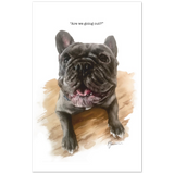 Dog Talk Frenchie Pack of 10 cards