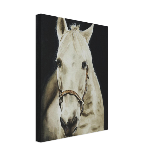 White Knight Horse Watercolor Canvas