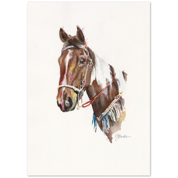 Spotted Horse Watercolor Print